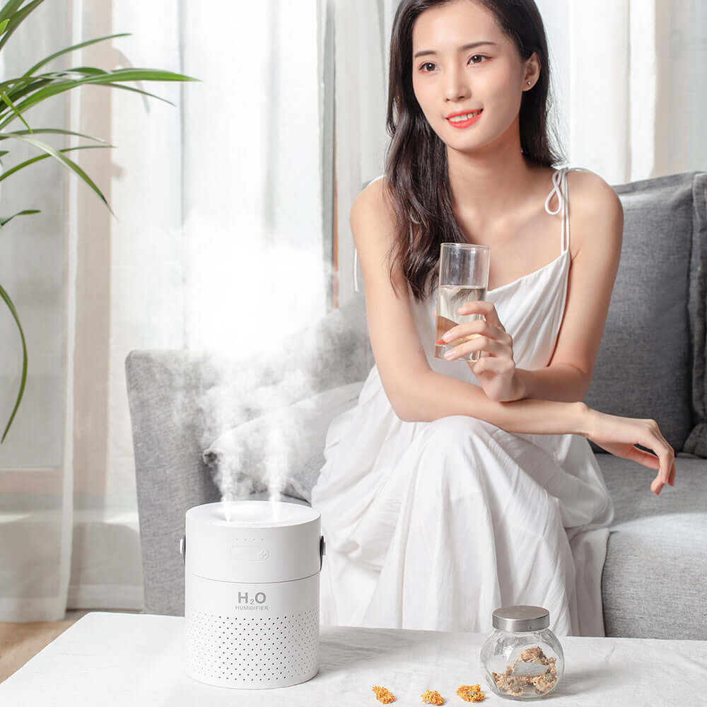 Alana Smart Humidifier